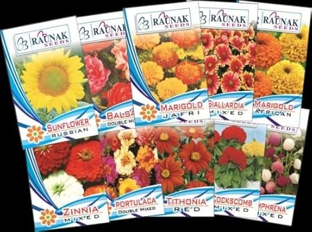 Summer Flower Seeds kit, 10 pkts Raunak Seeds Brand Sold by Seedscare India (30+ Seeds Each)