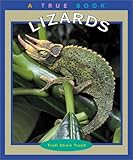 Lizards