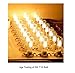 Mansa Lighting, T10 LED Bulb (Tube Shape), 2 Pack, 200 Lumens, 2 Watts, Warm White (2700K), Dimmable, 25W Equivalent
