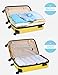 HomeIdeas 8 Packs Space Saver Portable Compressed Storage Bags, Simple Roll-up Zipper Packing Organizer Bags, No Vacuum Seal, PREMIUM QUALITY, Perfect for Home and Travel