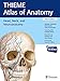 Head and Neuroanatomy (THIEME Atlas of Anatomy): 9781604062908