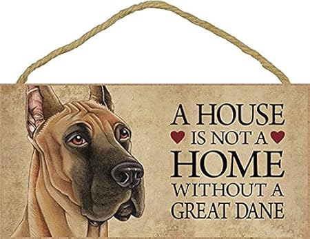 great dane in house