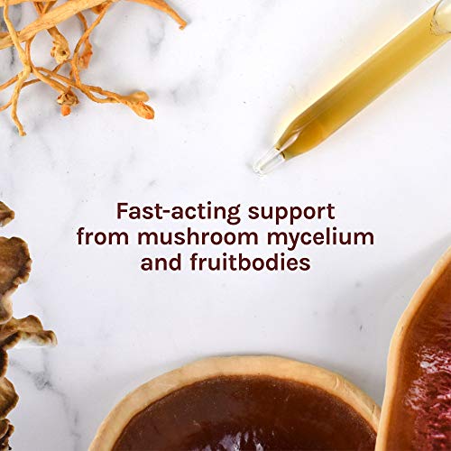 Host-Defense-Stamets-7-Extract-Daily-Immune-Support-Mushroom-Supplement-with-Lions-Mane-Reishi-Vegan-Organic-Gluten-Free-1-oz-30-Servings