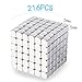LiKee 5MM 216 Pieces Magnetic Sculpture Magnet Building Blocks Fidget Gadget Toys for Stress Relief, Office and Home Desk Decor, Cool Gadget for Adult,Man,Women (Silver, 5mm)