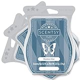 Scentsy Mystery Man Wax Bar 3-Pack