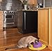 PetSafe Current Circulating Dog and Cat Water Fountain, Small, Purple, 40 oz.