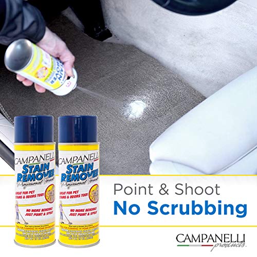 Campanelli's Professional Formula Stain Remover Pet Stain and Odor