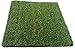PZG Artificial Grass Rug w/ Drainage Holes & Rubber Backing | 2-Tone Realistic Synthetic Grass Mat | Extra-Heavy & Soft Pet Turf | Lead-Free Fake Grass for Dogs or Outdoor Decor | Size: 12' x 6'