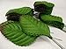 perfect2desire Fake Leaves Green Brown Rose Leaves Mulberry Paper Artificial Leaf Size#1