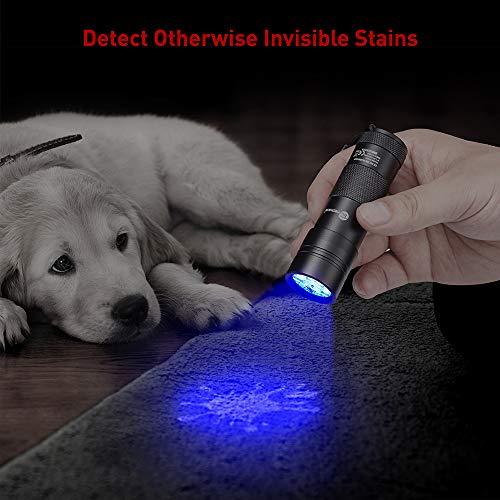 TaoTronics Black Light, 12 LEDs 395nm UV Blacklight Flashlights Detector for Pets Urine and Stains with 3 Free AAA Batteries