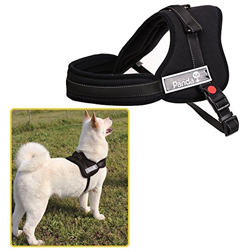 Buy Ecoastal Dog Body Harness Padded Extra Chest Straps Heavy Duty with