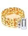 TaoTronics LED String Lights,Christmas Decorations Lights 33ft 100 LEDs USB Powered Warm White Dimmable Copper Wire String Lights,8 Lighting Modes,15 brightness levels, Remote Control, IP65 Bendable