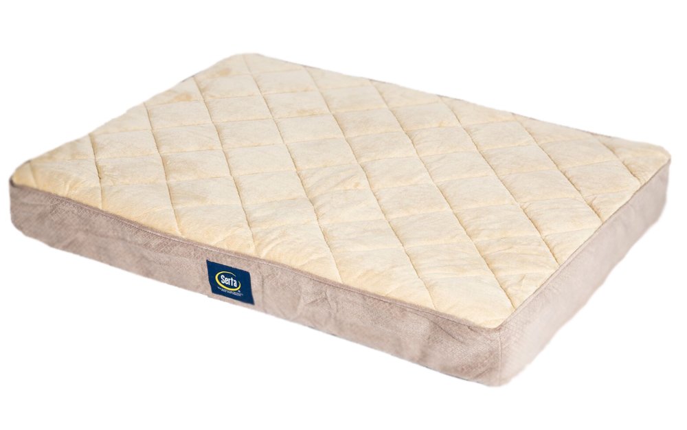 Best Ortho Sofa Bed Tan