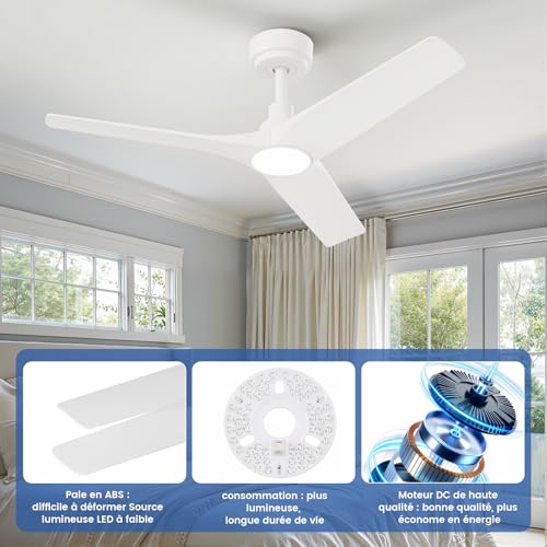 AUTODAY Ceiling Fan With Led Light, 18W Dimmable, Silent DC Motor 32W, 106Cm, ABS Blades, Memory Remote, 6 Speed, White