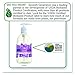 Seventh Generation Hand Wash, Lavender, 12 Ounce