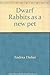 Dwarf rabbits as a new pet by 