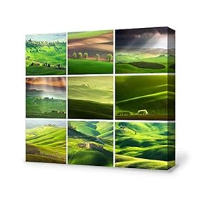 Canvas Wall Art Grand Grassland Canvas Painting Wall Poster Decor for Living Room Wooden Framed Home Decorations - 12x12 inches