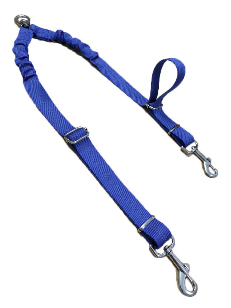 y leash for dogs