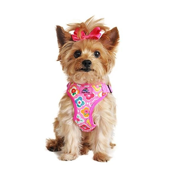 Wrap Snap Choke Free Dog Harness