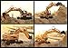 CrossRace Remote Control Excavator,15 Channel Full Functional RC Excavator Toy Toy Construction Tractor with Metal Shovel and Caterpillar