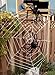 Sunba Youth 10 PCS Spider Used for Halloween or Parties Decoration, White