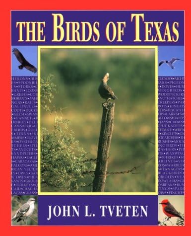 Lansdowne's Birds of the Forest　鳥の図鑑　洋書 Birds of the Forest: Lansdowne, James Fenwick: 9780884860273