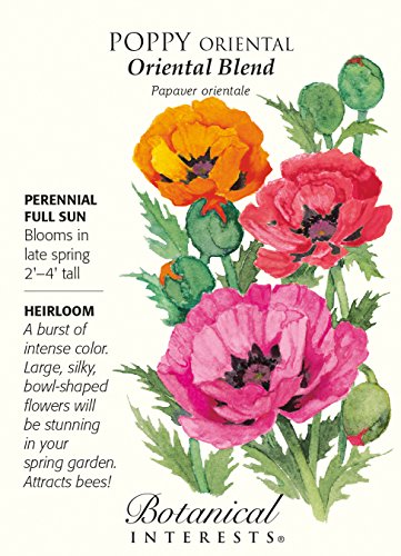 Oriental Blend Poppy Seeds - .40 grams - Papaver Oriental Blend Poppy Seeds - .40 grams - Papaver