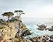California Coastal Wall Art, Lone Cypress Tree Picture - 5x7, 8x10 Print (not framed), ‘Lone Cypress’