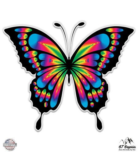 Beautiful Rainbow Butterfly - 3