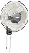 HOLMES Oscillating Wall-Mountable Fan, 16 Inch (HMF1611A-UM) primary