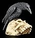 PTC 5 Inch Halloween Black Raven on Skeleton Skull Statue Figurine