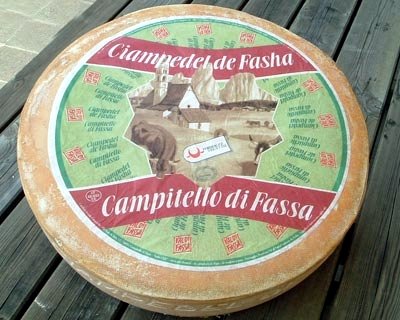 Cuor di Fassa Caseificio Soc. Campitello Laib ca. 10 kg. – Bild 3