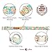 Lionet Paws Dog and Cat Collar with Bowtie,Soft and Comfortable,Adjustable Collar