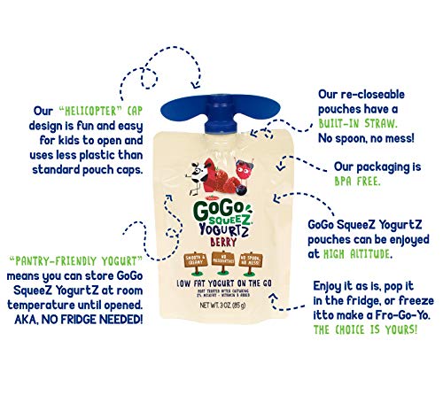 1 GoGo+YogurtZ+Portable+BPA+Free+Gluten+Free