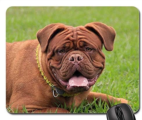 Gaming Mouse Pads,Mouse mat,Bordeaux Mastiff Dog Mastiffs French Animal Pet
