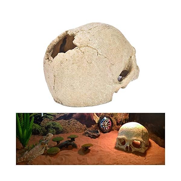 LUCKFY Fish Tank Decoration Rettile Hideout Skull Acquario Rettilario del Cranio della Resina Cave Famiglia giornaliera…