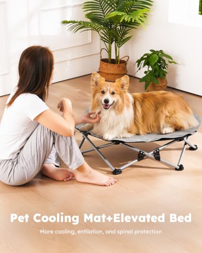 pecute Dog Cooling Mat on Elevated Dog Bed, 3-Sec Pop-Up No-Assembly Raised Dog Bed for Outdoor Camping, Raised Pet Cot with Cooling Mat for Dogs, Holds 60kg, Breathable Cooling Dog Bed,L,Dia 75cm