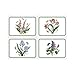 Pimpernel Botanic Garden Placemats (Set of 4), Hardboard Dining Table Mats - Cork-Backed, Heat-Resistant, Stain-Resistant (15.7