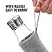 TOPOKO Handmade 18.5 Ounce Glass Water Bottle-Extra Strong Crystal Glass Bottle Bpa-Free, Lead-Free with Handmade Handle Nylon Sleeve (Grey)