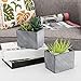 MyGift 6 Inch Terracotta Ceramic Herb Pots, Rectangular Succulent Planter Containers, Set of 2, Gray