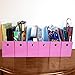 Evelots Magazine File Holder-Organizer-Full 4 Inch Wide-Pink-With Labels-Set/6