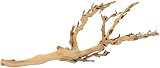 Exo Terra Forest Branch Medium - Natural Heat Treated Branch for Terrariums view 1