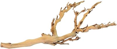 Exo Terra Forest Branch Medium - Natural Heat Treated Branch for Terrariums