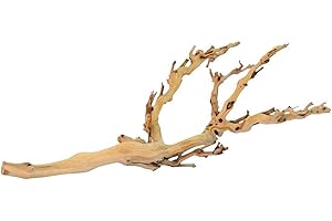 Exo Terra Forest Branch - Sandblasted Grapevine - Medium