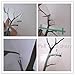 LUCKKYY Large Family Photo Tree Wall Decor Wall Sticker Tree Branch Family Like Branches On A Tree Wall Decorations for Living Room (Black)