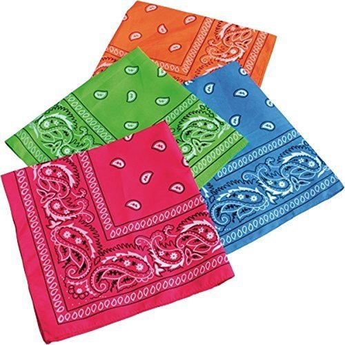 12 Pc- Bright NEON Paisley Bandanas