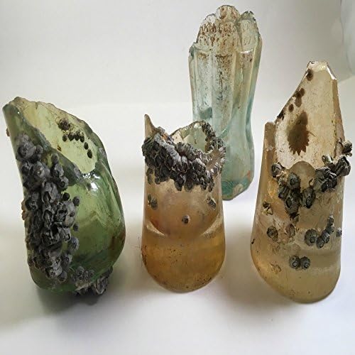 Barnacle Encrusted Sea Glass Candle Holders Beach Wedding Eco Friendly Decor Bohemian Wedding