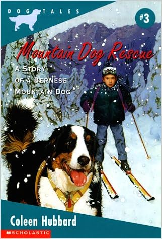 bernese mountain rescue