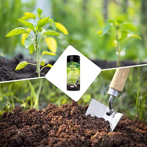 EODO Soil Test Paper,Test pH Test kit,100 Tests Soil PH,Swimming Pool