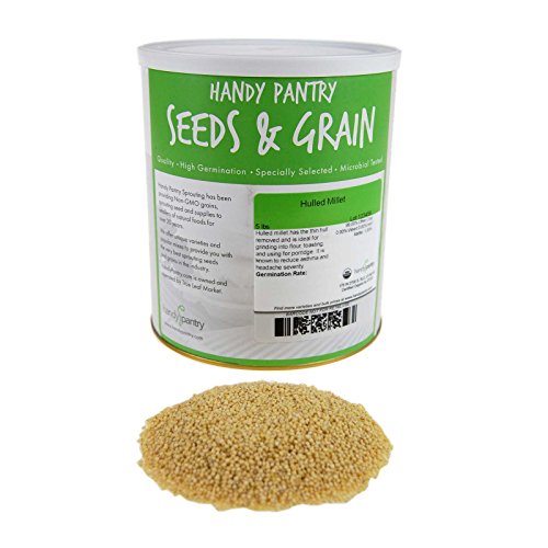 Organic Hulled (Husk Removed) Seeds: 5 Lb - Non-GMO Cereal Grain - Make Millet Beer, Grind Millet Flour, Cereal, Bird Seed, Emergency Food StorageUSDA Organic